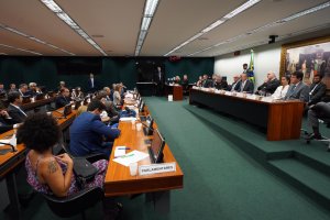 2019 - Comissão externa brumadinho 1